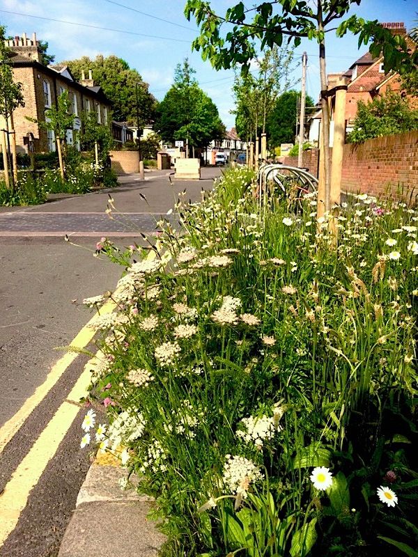 Online event: examining the impacts of Low Traffic Neighbourhoods