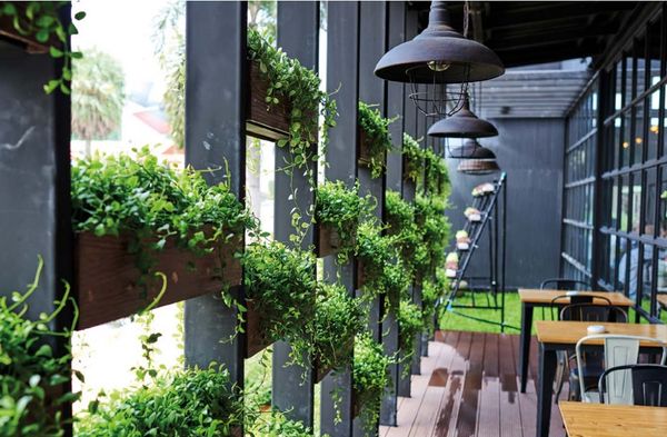 A shaded terrace with seating and greenery